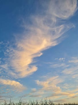 wolkenfeder Wolkenfeder
